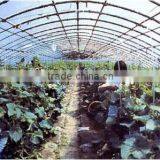 High Quality Transparent Greenhouse Film , Agricultural Film, Farm Film thumbnail-2
