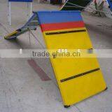 A Frame Dog Agility Dog Long Walk