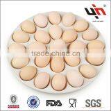 Durable Porcelain Egg Plate