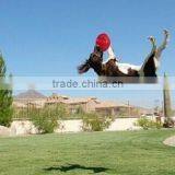 Hot Sale Flashing Fanny Frisbee Flying Disc for Dogs