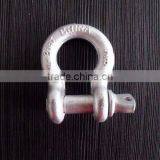 SCREW PIN ANCHOR SHACKLE thumbnail-1
