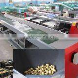 Orange Processing Linewashing and Sorting Machine thumbnail-6