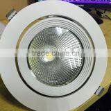 360 Degree Rotatable Aluminum Alloy COB LED Trunk Light 30W for Gallery 220VAC