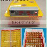 56 Eggs Factory Sell Egg Incubator, Mini Incubator, ZH-56 Dual Power 12V, 220V(Mob/whatsapp:0086-15266968635) thumbnail-3