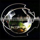 Tabletop Acrylic Fish Aquarium thumbnail-1