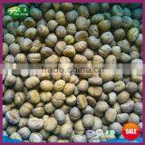 New Organic Frozen Peeled Cooked Chinese Chestnuts Food