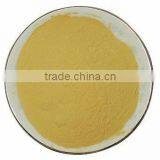 Health Food Spray Dried Green Tea Powder thumbnail-1