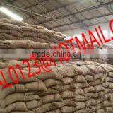 PREMIUM MINIKATE RICE FROM EXPORT TRADE ASSOCIATE, BANGLADESH. thumbnail-5