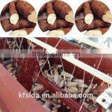 Cassava Peeling Cassava Processing Industry Machine Manufacturer thumbnail-3