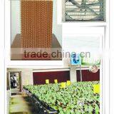 Evaporative Air Curtain Cooling System for Greenhouse