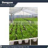 10XNet Slip Pot Hydroponic Plant With Cubic Sponge Grow Kit Hydroponic Plant thumbnail-3