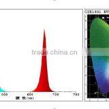 Lights From Plants to Grow and Plants With Lights for Those Companies Looking for Partners thumbnail-3