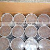 Freeze Dried Mealworm for Backyard Chicken thumbnail-4