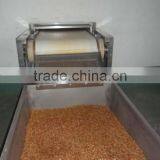 FDA Certification Passed 28mm Yellow Mealworms;Mealworms for Fishes thumbnail-3