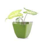 Bamboo Fiber Flower Pot With Best Quality thumbnail-1