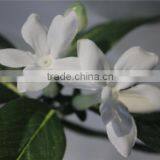 Hot Sale Brand Name Decorative Artificial Flowers Silk Flowers thumbnail-2