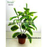 SAS201601 Artificial Green Foliage Plant Bonsai thumbnail-5
