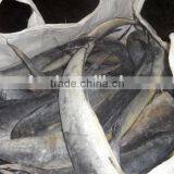 Frozen Mahi Mahi WR thumbnail-2