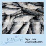 Hot Sale Bonito Fish For Dinner Party Lot Number#kmw4364 thumbnail-1