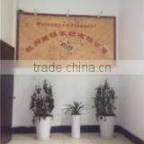 Hangzhou Tingmei Housecoat Co., Ltd. company overview - view 4 thumbnail