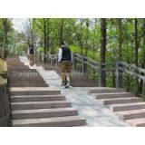 Free Shipping + New Fashion High-tech Sport Rechargeable Portable Self Balancing Unicycle thumbnail-1