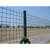 Euro Fence /PVC Coated Holland Wire Fence thumbnail-2