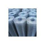Galvanized Welded Wire Mesh