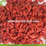 Factory Wholesale Dried Wolfberry thumbnail-1