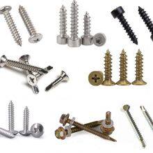 Carbon Steel / Stainless Steel Hardware Screws For Automobile Industry