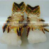 Frozen Lobster Tails thumbnail-3