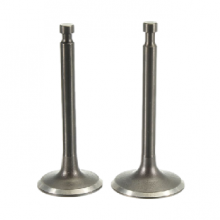 Suction and Exhaust Valve