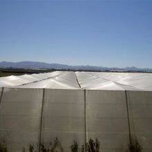 Best Sale Long Service Life Agricultural Insect Proof Net Anti Insect Net for Green House thumbnail-6