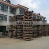 Qingdao Toboli International Trading Co., Ltd. company overview - view 3 thumbnail