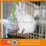 Plastic Rabbit Cage Trays / Rabbit Battery Cage / 3 Story Rabbit Cage