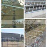 Qingdao Xinbaofeng Industrial Trade Co., Ltd. company overview - view 2 thumbnail