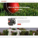 High Quality Cms thumbnail-4