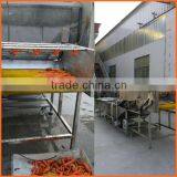 Aquatic Products Vegetable Cleaning Machine for Sale thumbnail-3