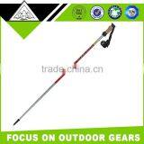 Hot Sell One Section Custom Skiing Pole Tube