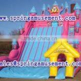 The Most Popular Outdoor Giant Inflatable Slide, Inflatable Water Slide, Inflatables SP-SL080