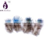 blue feather of peacock's neck for Jewelry making clothes                        
                                                Quality Choice