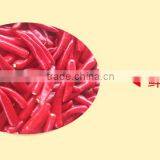 Fresh Red Chili/Chilli/Pepper thumbnail-1