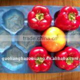Thermoformed Plastic Food Packaging Insert Liner thumbnail-1