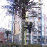 15m Beautiful Bionic Coconut Palm Tree Street Light