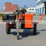 Log Splitter Price TS400 Gasoline Log Splitter Hydraulic Wood Cutter for Sale