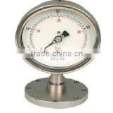 MPT124-213 Flange Melt Pressure Gauge