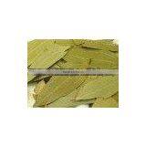 Dry Bay Leaf Leaves thumbnail-1
