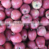 New Hua Niu Apple thumbnail-1