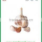 Chinese Natural Spice Garlic Supply to Singapore thumbnail-1