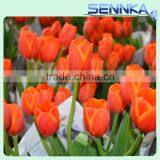 Quality Fresh Cut Flower in China /design Roses/jasmine/decorative Natural Flowers thumbnail-4