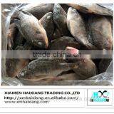 Frozen Tilapia Fish Buyer thumbnail-5